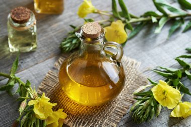 Taze Oenothera biennis çiçekleri ile ahşap bir masanın üzerinde cam bir şişedeki çuha çiçeği yağı