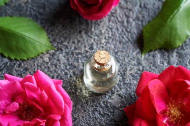 Kırmızı gül çiçekleri ve gri arkaplanda yaprakları olan temel yağ