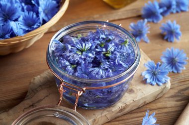 Cam bir kavanozda mavi hindiba çiçekleri ve alkolün sağlıklı tentürünün hazırlanması.