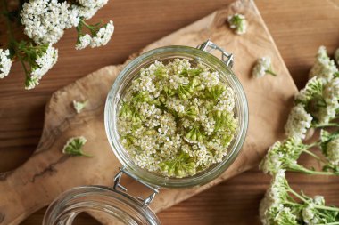 Taze kiremit çiçekleri ve alkolle dolu cam kavanoz - ev yapımı bitkisel tentürlerin hazırlanması