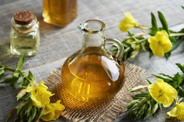 Oenothera biennis bitkisiyle ahşap bir masanın üzerinde çiçek açan çuha çiçeği yağı.