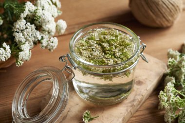 Ev yapımı bitkisel tentürler taze çiçek açan kireçten ya da Achillea Millefolium bitkisinden yapılır.