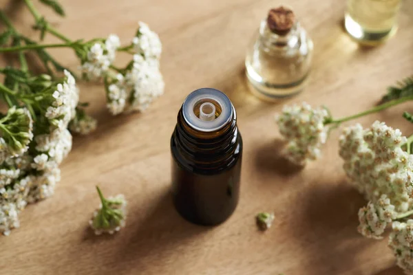 stock image A brown bottle of aromatherapy essential oil with fresh blooming yarrow plant