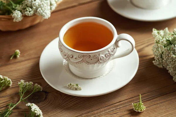 stock image Yarrow tea in a white cup with fresh flowers on a table