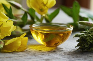 Taze Oenothera biennis çiçekleriyle dolu cam bir kasede akşam çiçeği yağı.