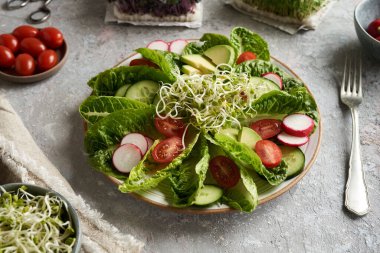 Taze turplu sebze salatası ve mikroyeşillik.