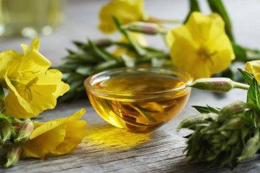 Oenothera biennis çiçekleri ve akşam çiçeği yağı.