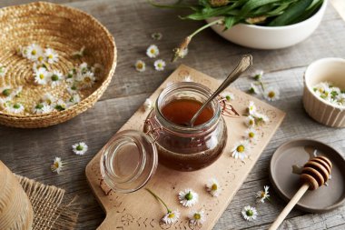 Cam bir kavanozda yaygın papatya ya da Bellis perennis şurubu