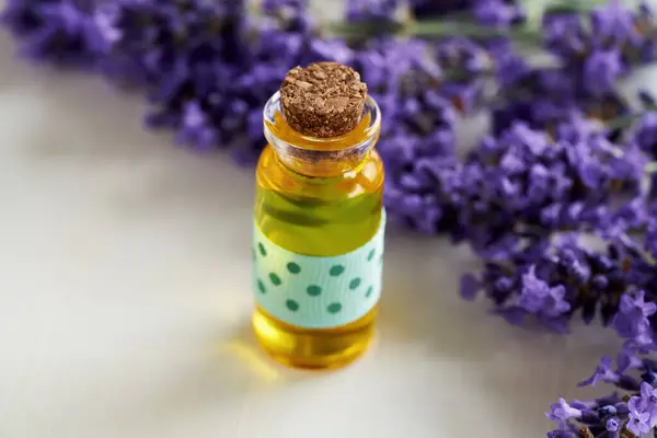 Bottle Essential Oil Fresh Blooming Lavender Plant White Background — Stock Photo, Image