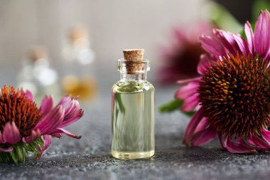 Çiçek açan ekinezya bitkisiyle birlikte bir şişe gerekli yağ.