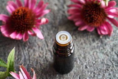 Ekinezya tentürü ya da kahverengi cam bir şişedeki yağ, taze çiçeklerle.