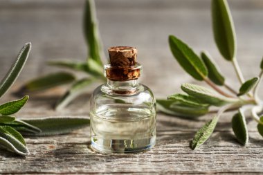 Masada taze adaçayı yaprakları olan şeffaf bir aromaterapi şişesi.