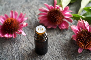 Ekinezya tentürü koyu cam bir şişede, masada taze koni çiçekleri