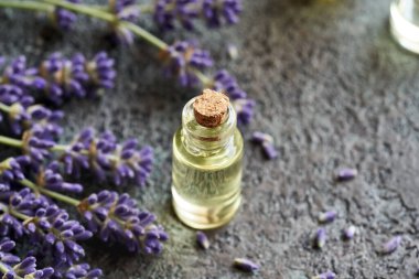 Koyu arkaplanda taze lavanta çiçekleri olan şeffaf bir aromaterapi şişesi.