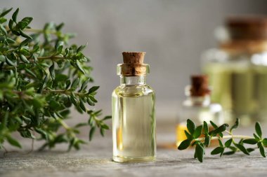 Masasında taze kekik dalları olan şeffaf bir şişe aromaterapi gerekli yağ.