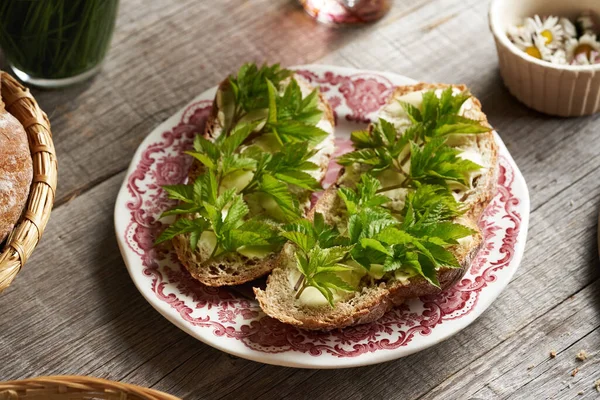 Goutweed Ground Elder Leaves Harvested Early Spring Slices Bread Butter — Stock Photo, Image