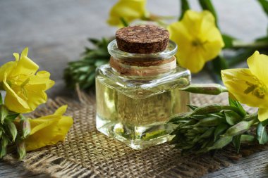 Taze Oenothera biennis çiçekleriyle dolu cam bir şişede akşam çiçeği yağı