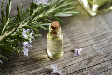 Cam bir şişedeki temel yağ ve ahşap bir masada çiçek açan biberiye.