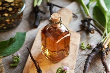 Taze Symphytum bitkisiyle birlikte bir şişe papatya kökü tentürü.