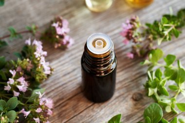 Koyu bir şişe aromaterapi esaslı yağ ve taze kekik otu.