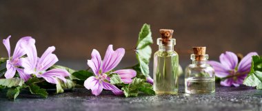 Yatay afiş ve aromaterapi şişeleri gerekli yağ ve taze mallow çiçekleri.