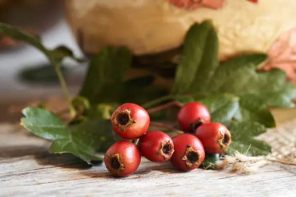 Fresh Hawthorn Berries Leaves Table Close — Stock Photo, Image