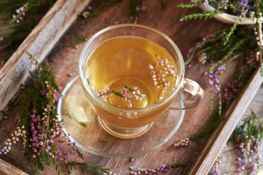 Ormanda toplanan taze kenevir çiçekleri tepside bir fincan bitki çayında toplandı.