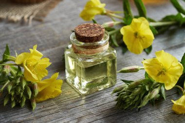 Taze Oenothera biennis çiçekleriyle dolu cam bir şişede akşam çiçeği yağı