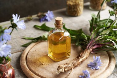 Taze hindiba ya da sulu kökü olan bir şişe bitkisel tentür.