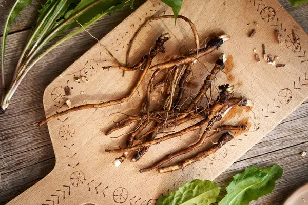 Fresh whole dandelion roots on a wooden cutting board, top view