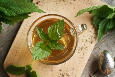 Taze ısırgan otu yaprağı bir fincan bitkisel çayın içinde, en üstte.