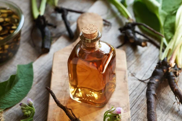 Taze papatya ya da örgü kökü olan bir şişe tentür.