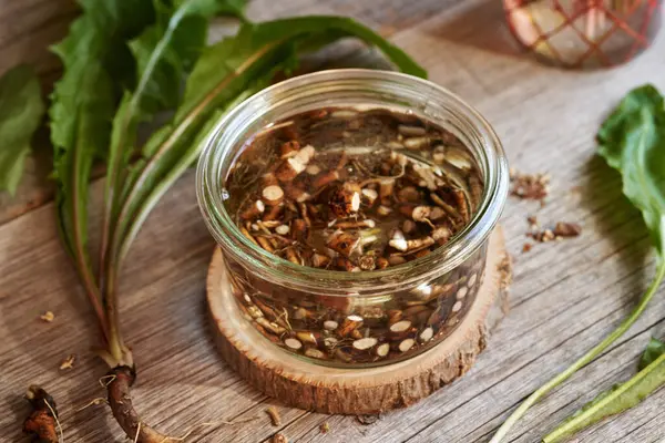 Preparation of homemade dandelion root tincture in a glass jar