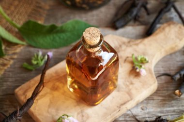 Cam şişedeki bitkisel tentürler taze kuş kökü ve masada yapraklar.