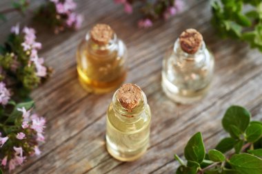 Üç şişe aromaterapi gerekli yağ ve taze kekik otu.