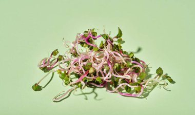 Taze turp filizleri ya da parlak yeşil arka planda mikro yeşiller