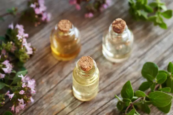 Three bottles of essential oil with oregano flowers and leaves