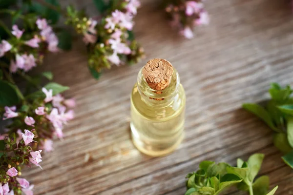 A transparent of aromatherapy essential oil with oregano flowers on a table