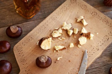 Bitkisel tentür hazırlamak için taze at kestanesi kesiyorum.