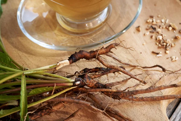 Closeup of fresh dandelion roots with a cup of herbal tea in the background