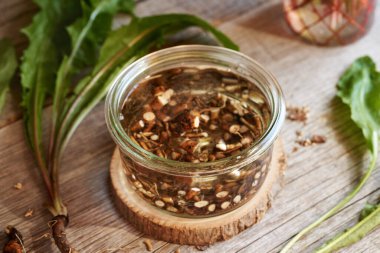 Doğranmış taze karahindiba kökü ve alkolden bitkisel tentürlerin hazırlanması