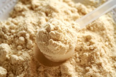 Plastik kepçedeki beyaz protein tozu, kapat.