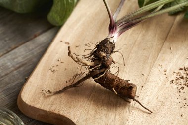 Tahta kesme tahtasının üzerinde burdock kökü