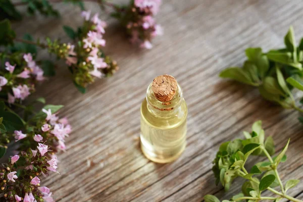 A transparent bottle of essential oil with oregano leaves and flowers