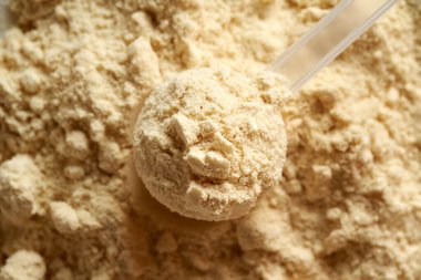 Plastik kepçedeki beyaz protein tozu, üst manzara.