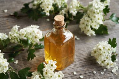 Bir şişe taze çiçekli dikenli tentür.