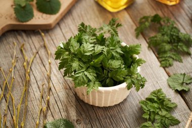 Taze, taze maydanoz yaprakları masanın üstünde. Kış sonu ve ilkbahar başında yetişen ve arka planda sarımsaklı hardal bulunan yenilebilir bir bitki.