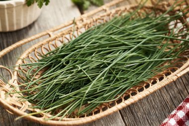 Karga sarımsağı ya da soğan otu. Kışın hasat edilen vahşi bir bitki.