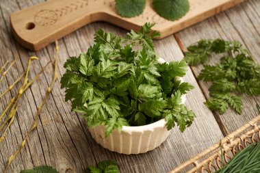 İnek maydanozu. Arka planda soğan ve sarımsaklı hardal bulunan kışın toplanan yenilebilir bir bitki.