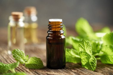 Kahverengi bir aromaterapi şişesi ahşap bir masada taze nane yapraklarıyla gerekli yağ.